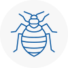 Bed Bug Extermination In Crewe